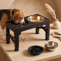Station de Repas Réglable pour Chien
