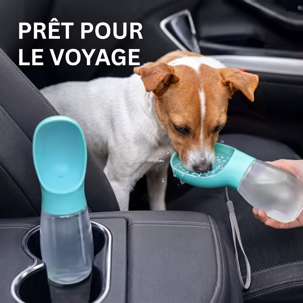 Gourde de Voyage pour Chien et Chat