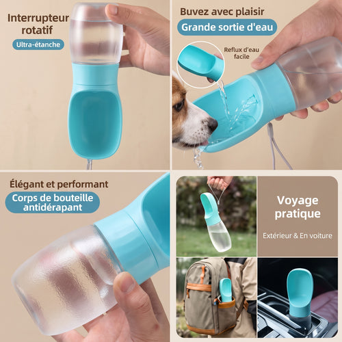 Gourde de Voyage pour Chien et Chat